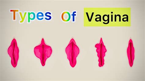 Lopsided Vagina: 9 Different Labia Shapes, Colors, and Sizes